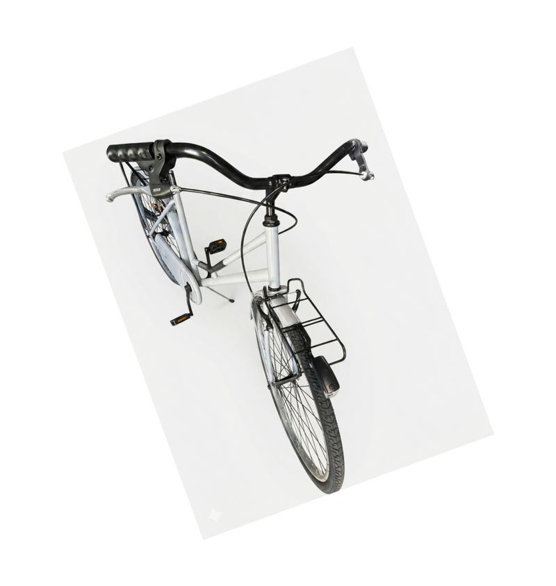 Carica immagine in Galleria Viewer, CASADEI OLANDA CITY BIKE DONNA 26" 1V ACCIAIO GRIGIO LUCIDO