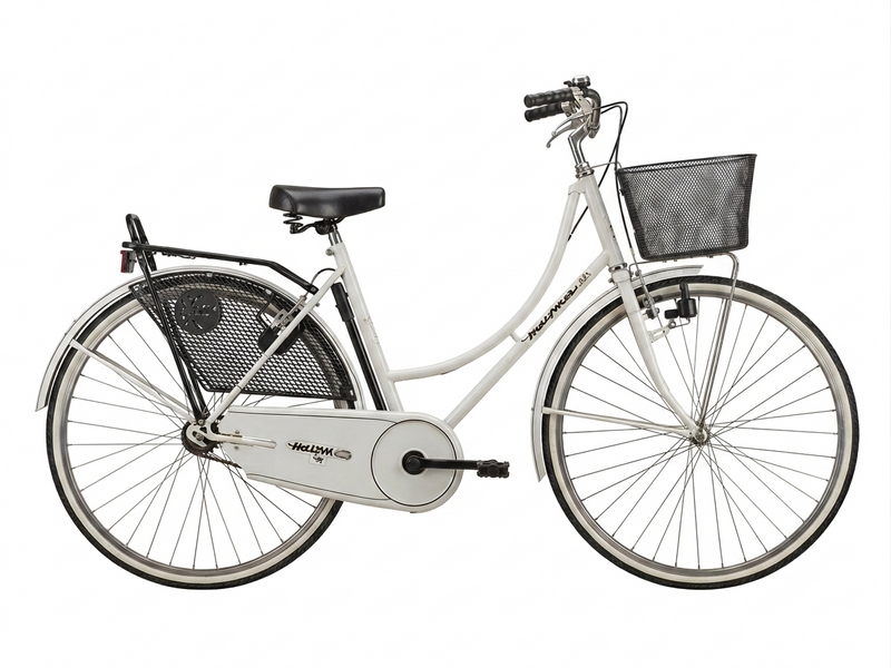 Load image into Gallery viewer, BICI DA CITTA' DONNA OLANDA 1V ACCIAIO BIANCO USATO-REVSIONATO