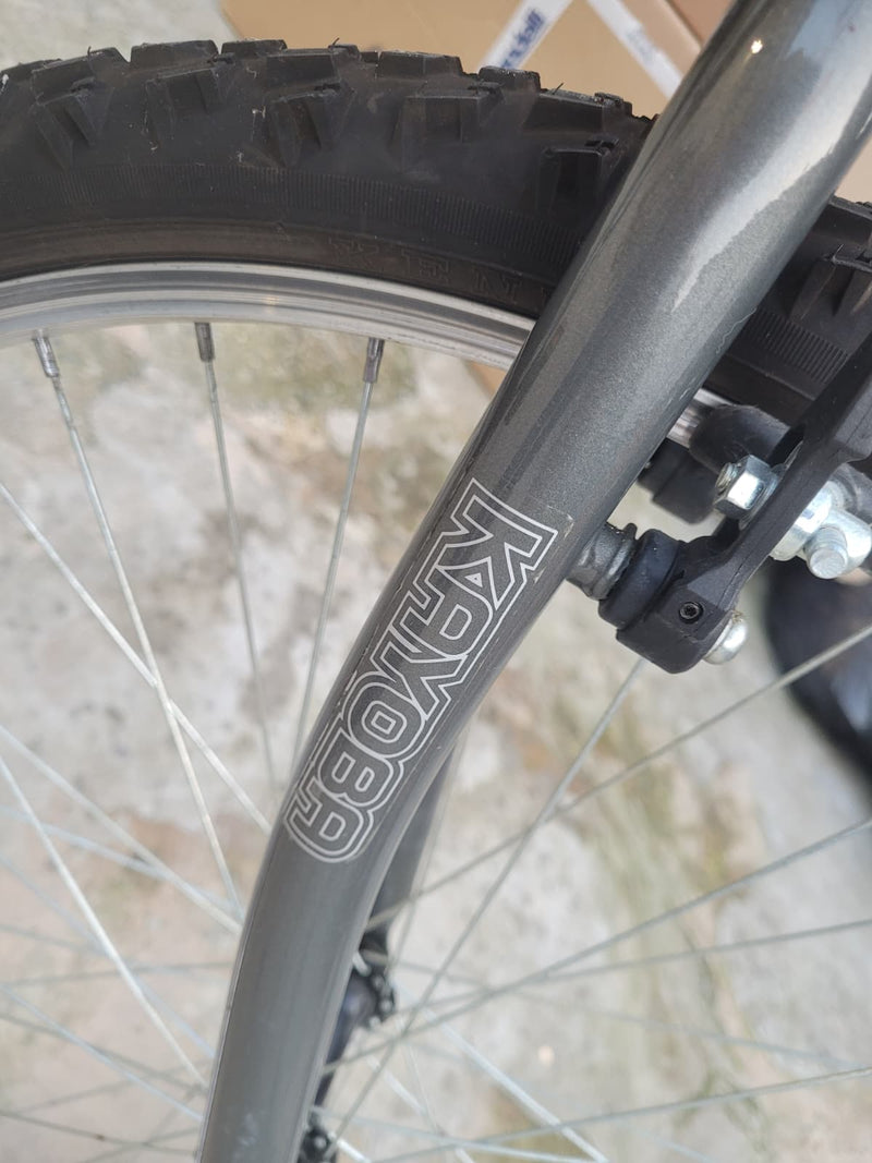 Carica immagine in Galleria Viewer, KAYOBA BREAKER MTB HARDTAIL ENTRY-LEVEL 26" IN ACCIAIO 21V TAGLIA M BIANCO-ARGENTO USATO-REVISIONATO IN CONTO-VENDITA