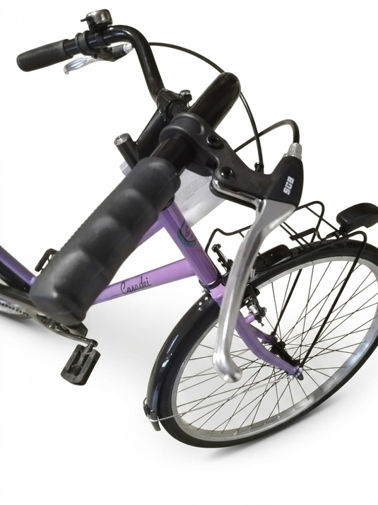 CASADEI CITY BIKE OLANDA DONNA 26" 1 VELOCITA' LILLA
