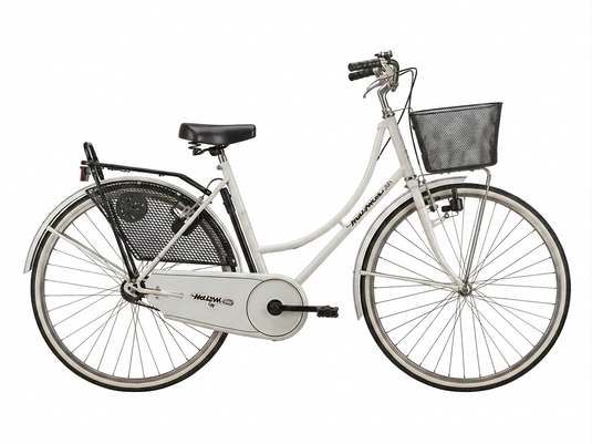 BICI DA CITTA' DONNA OLANDA 1V ACCIAIO BIANCO USATO-REVSIONATO