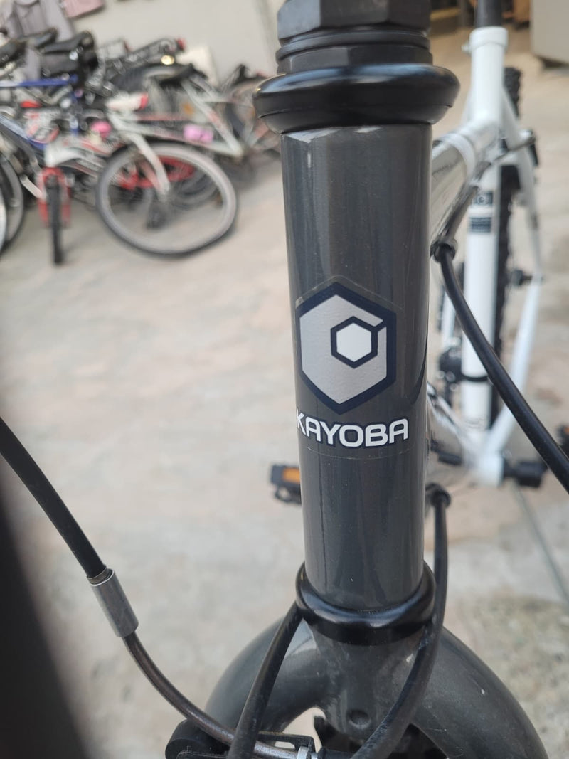 Carica immagine in Galleria Viewer, KAYOBA BREAKER MTB HARDTAIL ENTRY-LEVEL 26" IN ACCIAIO 21V TAGLIA M BIANCO-ARGENTO USATO-REVISIONATO IN CONTO-VENDITA
