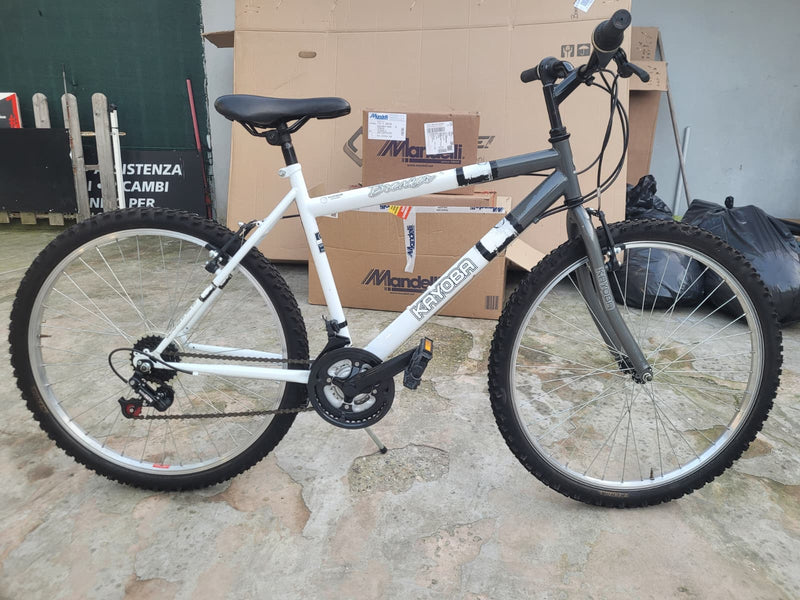 Carica immagine in Galleria Viewer, KAYOBA BREAKER MTB HARDTAIL ENTRY-LEVEL 26" IN ACCIAIO 21V TAGLIA M BIANCO-ARGENTO USATO-REVISIONATO IN CONTO-VENDITA
